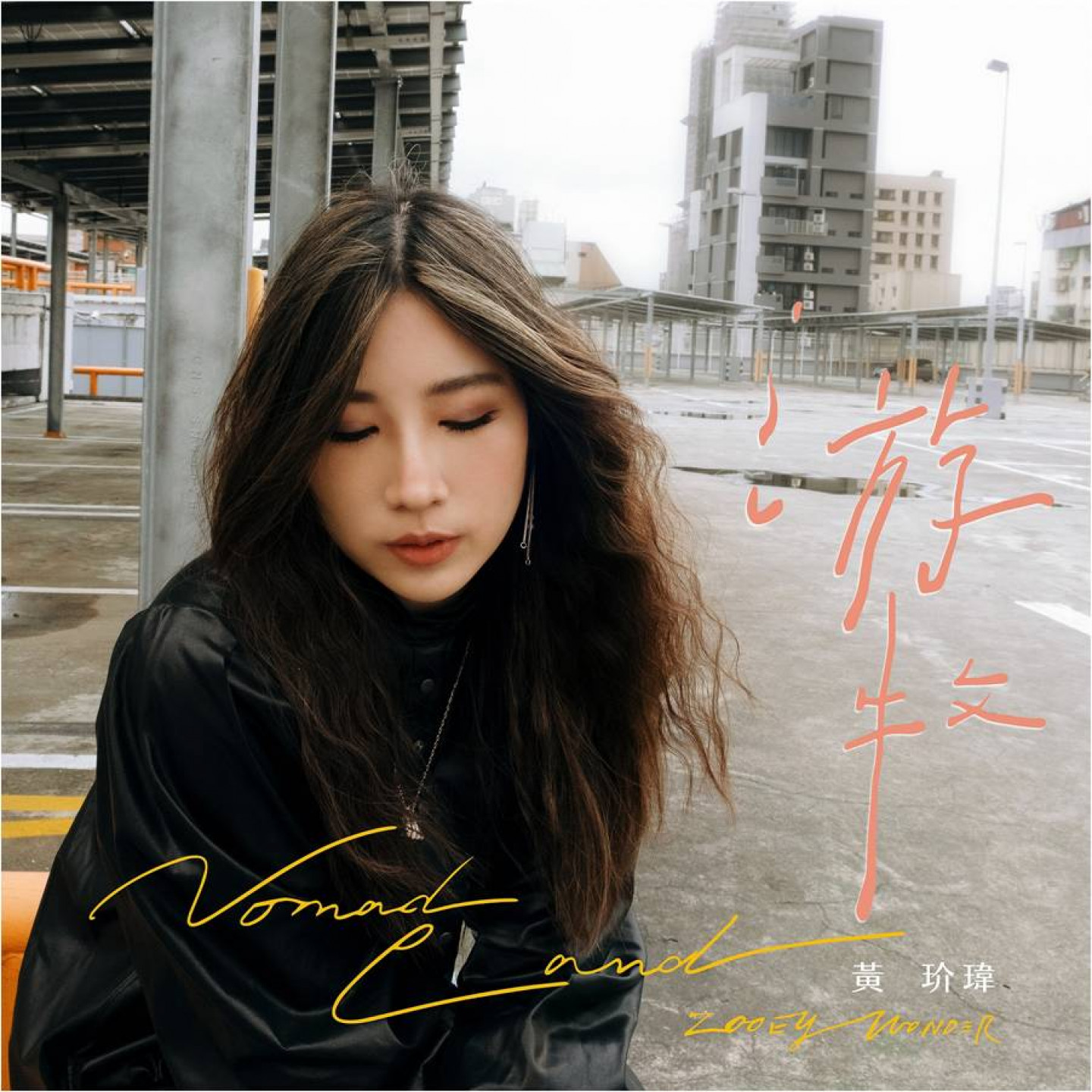 圖片5
