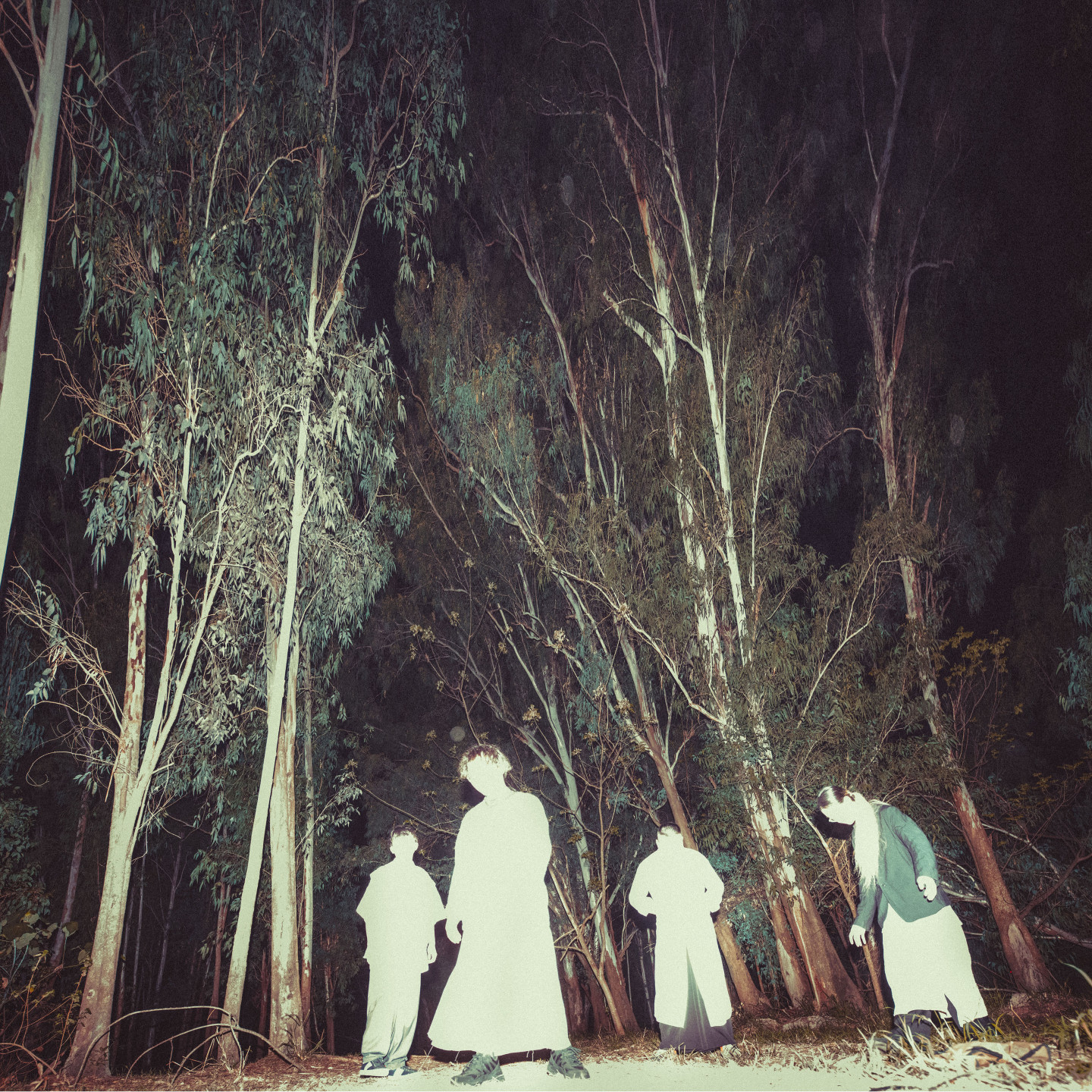 話梅鹿_藝人照片04_