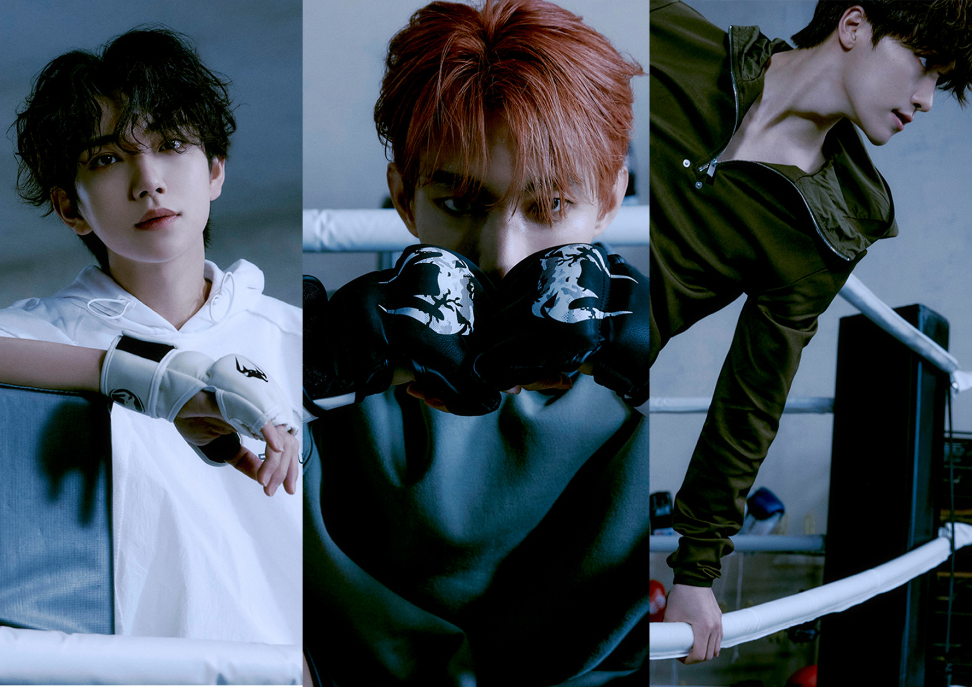 SEVENTEEN成員環球音樂提供