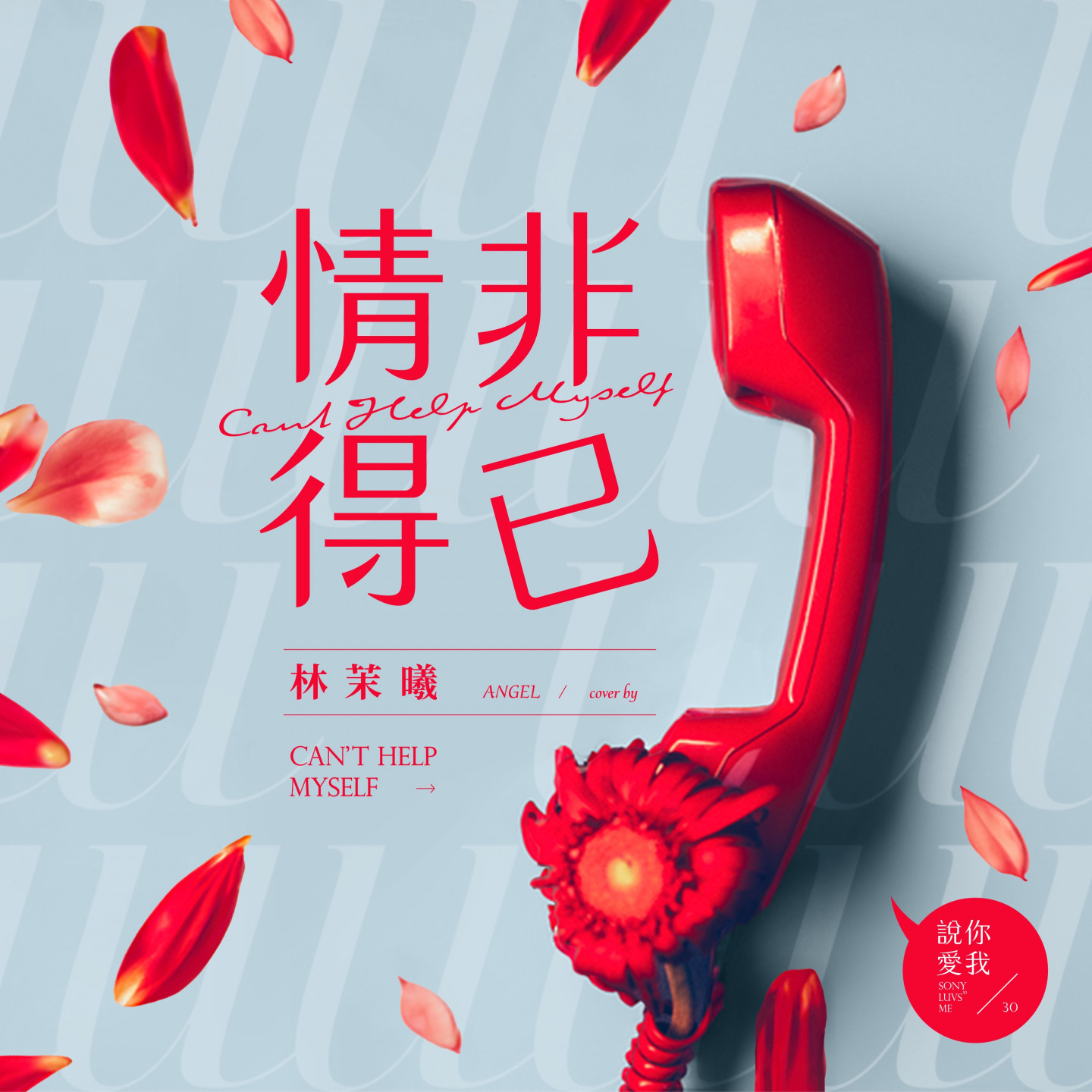 情非得已_繁體簡體