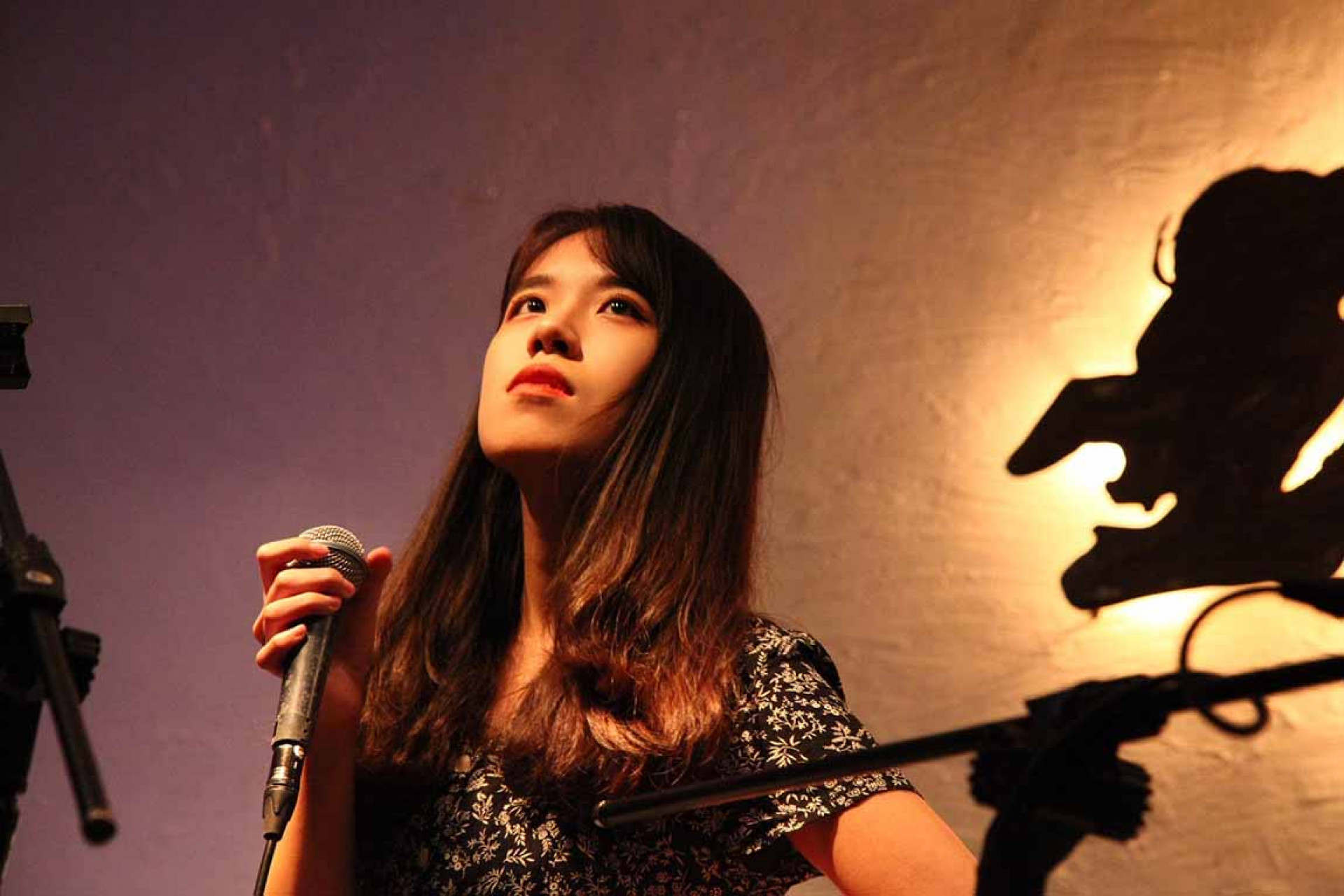 羊駝小姐 演出照2