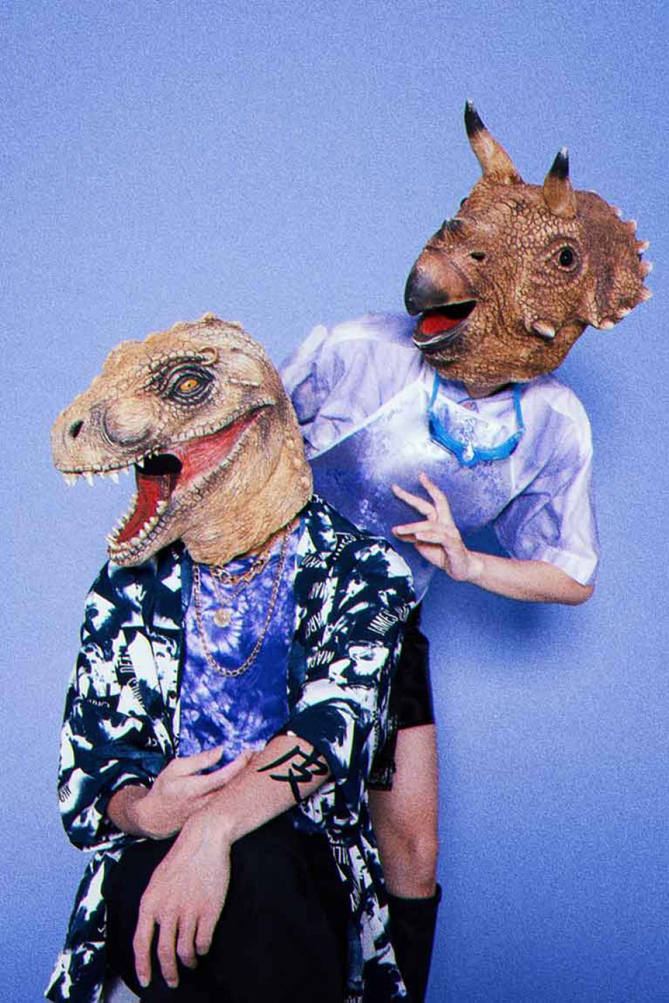 評審---The-Dinosaur's-Skin-恐龍的皮