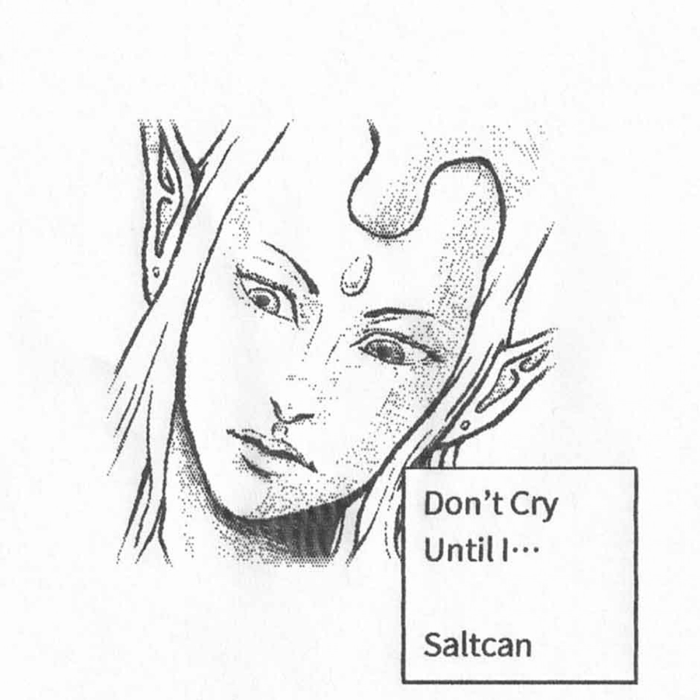 Saltcan-Don't-Cry-Until-I..