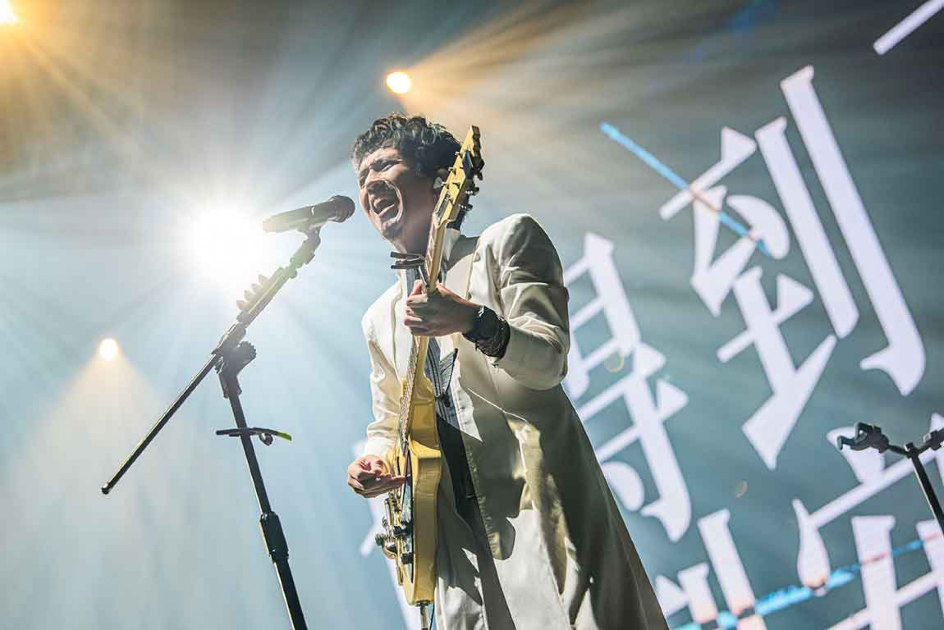 吉他手阿尼