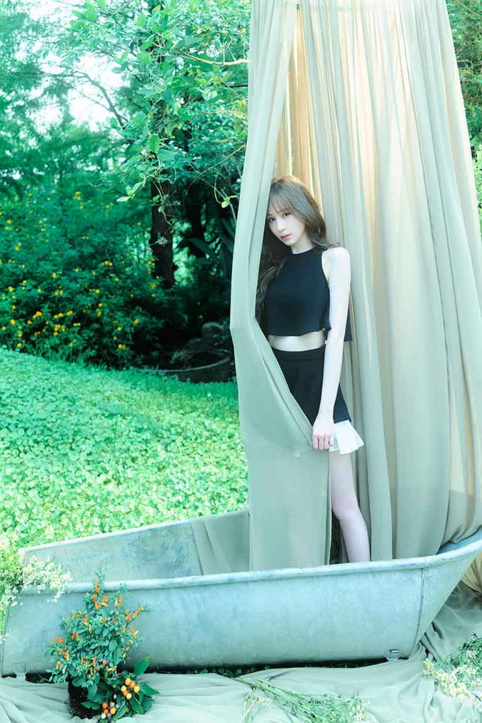 夏照