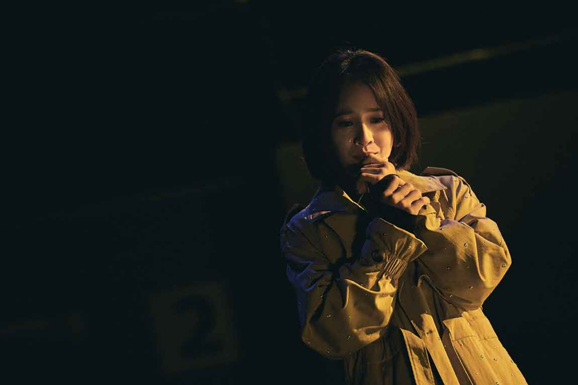 VVV05729-1