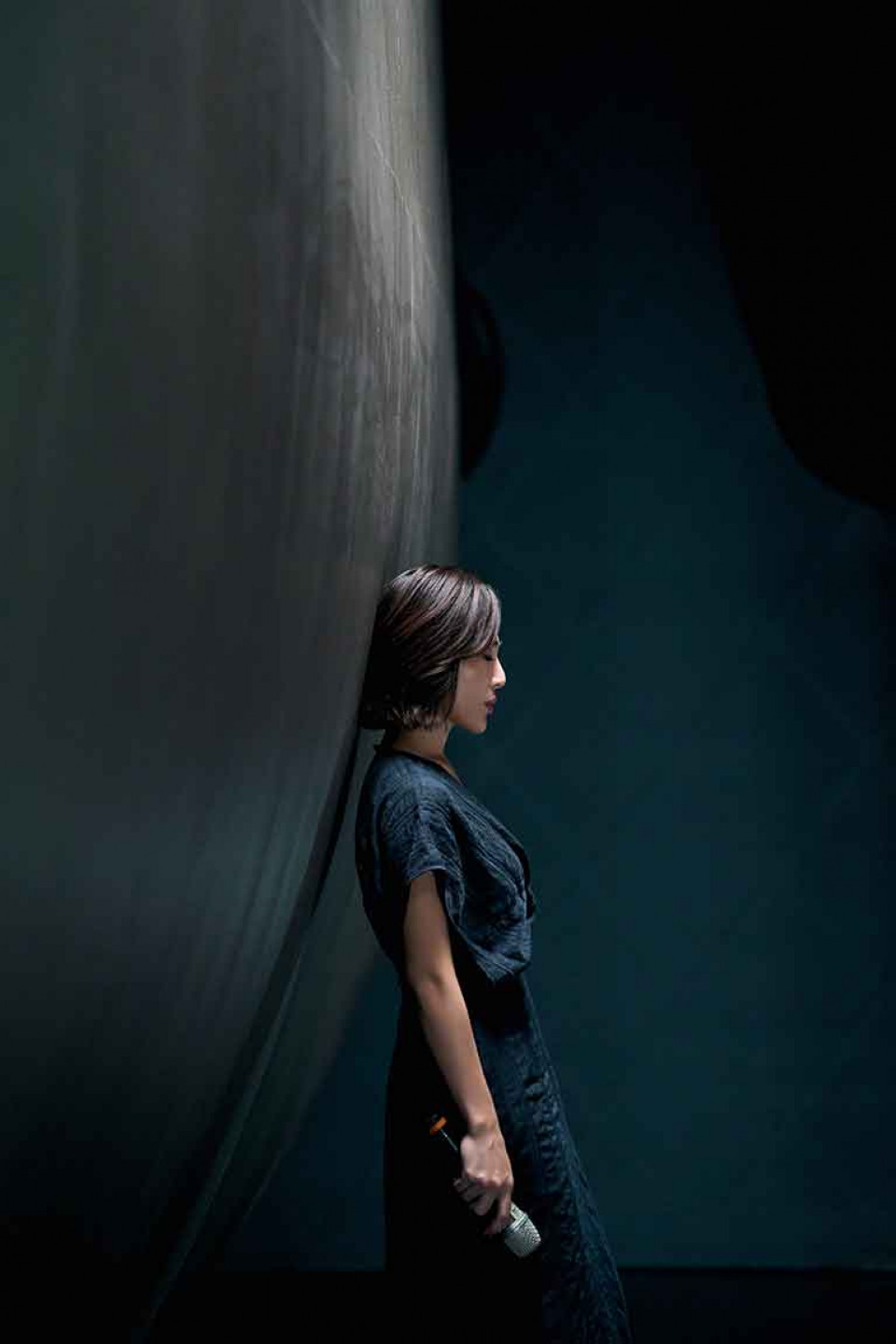 VVV05088-1