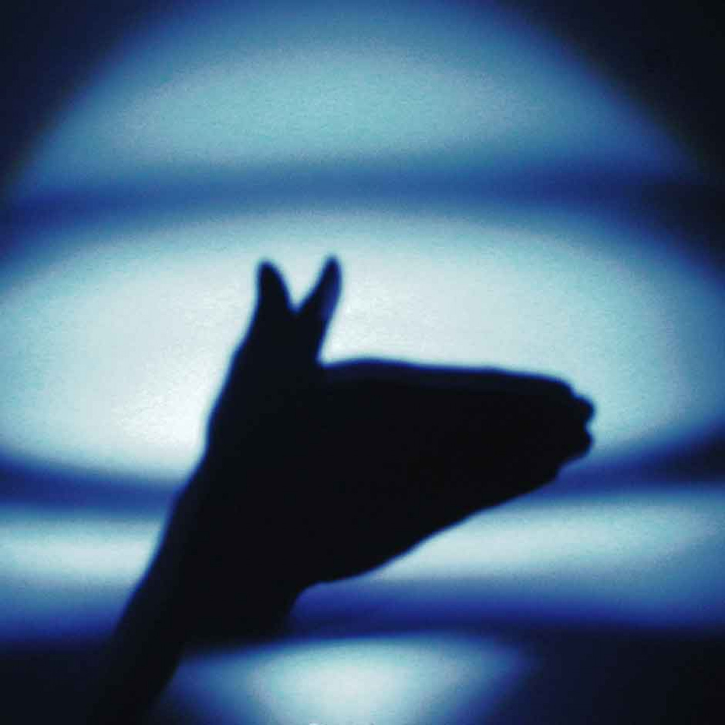 Saltcan-《Tired-Horse-&-Face》EP封面