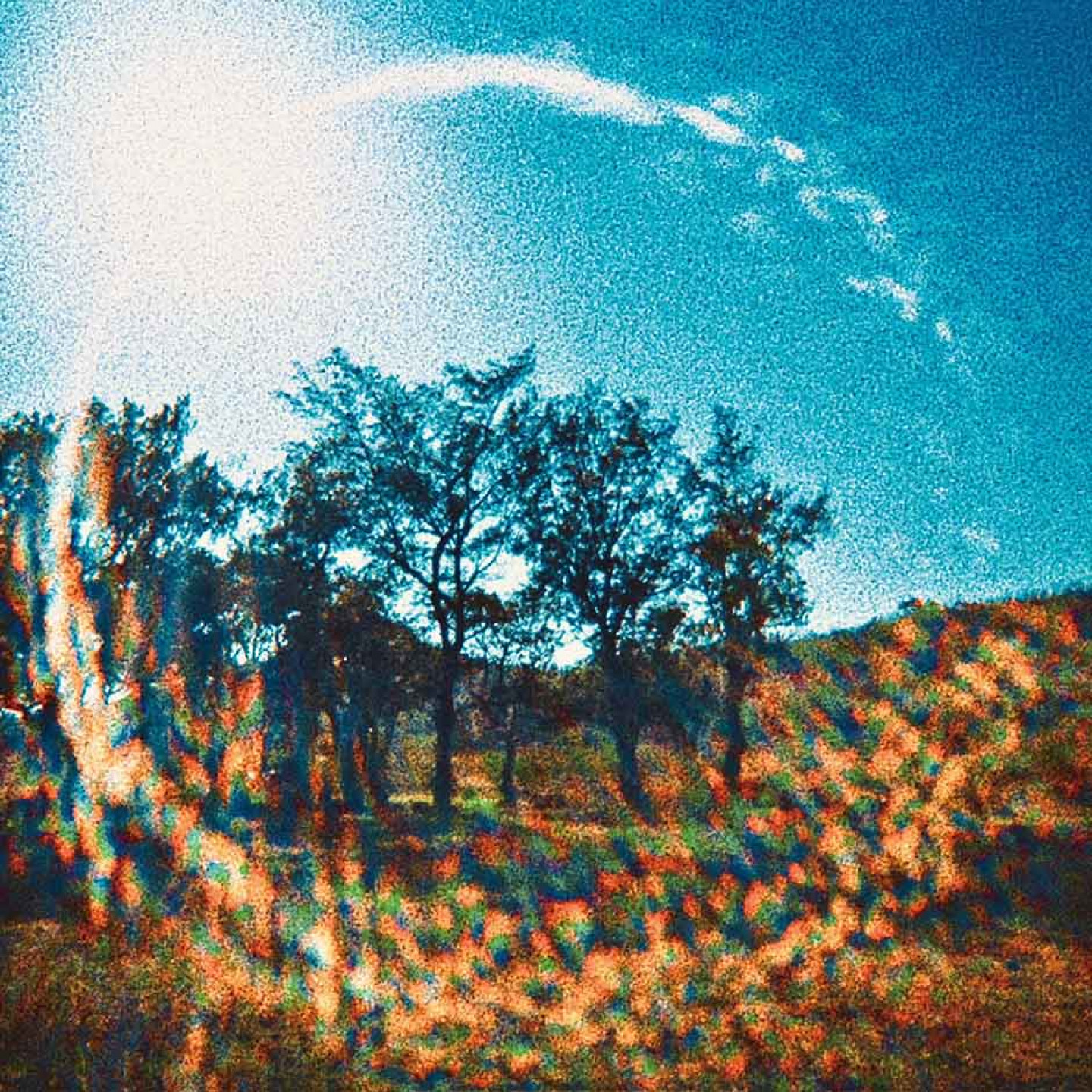 別輕易帶走我的所有-單曲封面