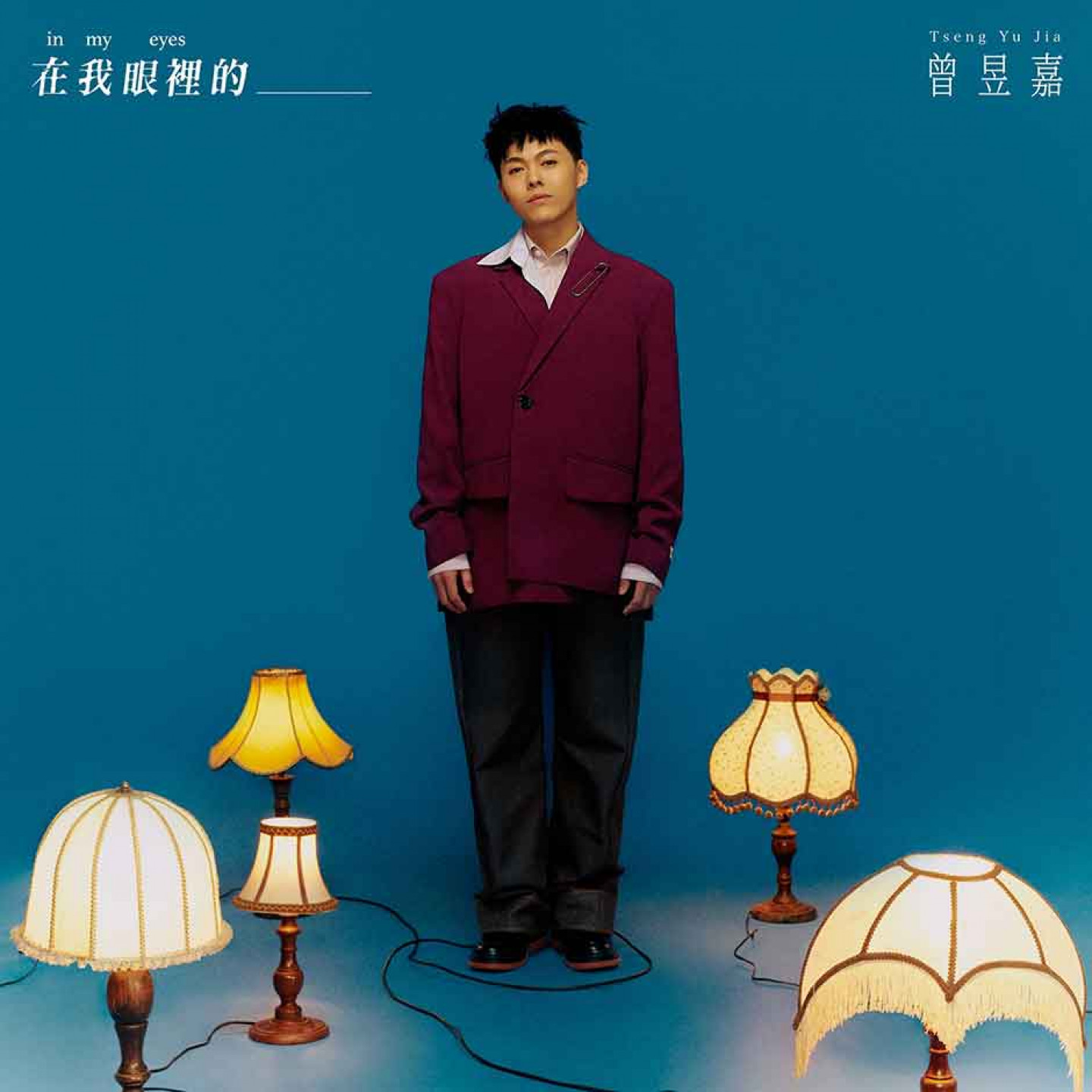 曾昱嘉《在我眼裡的____》專輯-數位封面