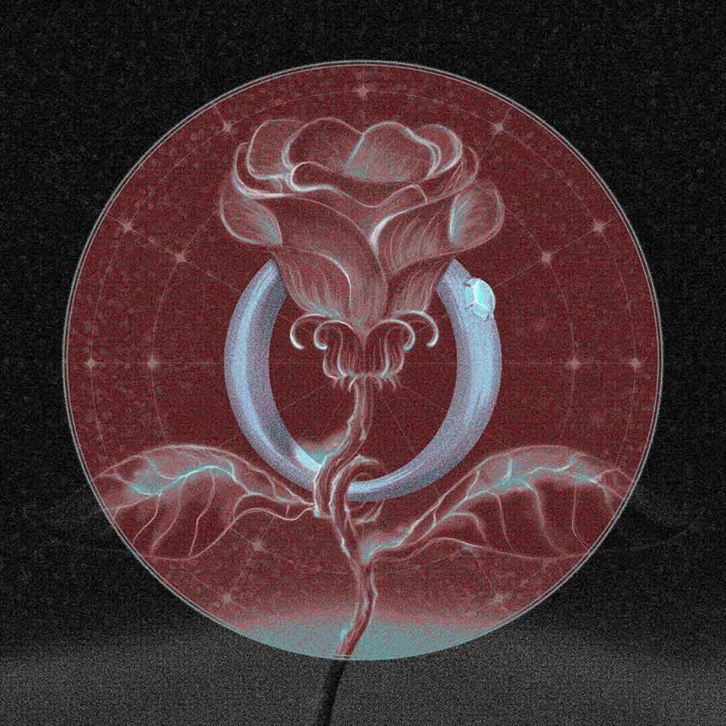 烏流oo-Lâu 《守墓人與玫瑰》數位封面