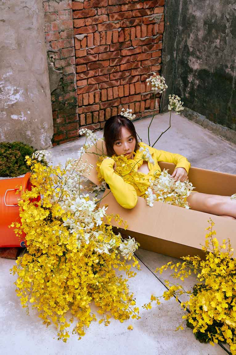 《2025 龍龍個人秀EP5 花光光心慌慌》