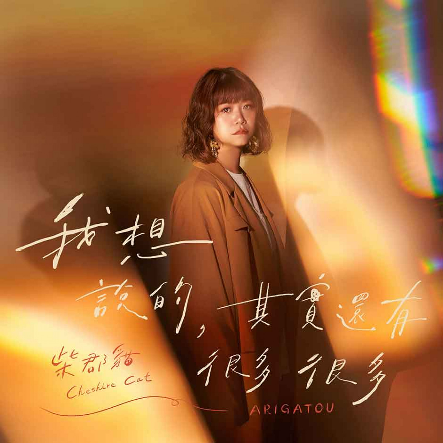 柴郡貓_中文單曲〈我想說的，其實還有很多很多〉封面