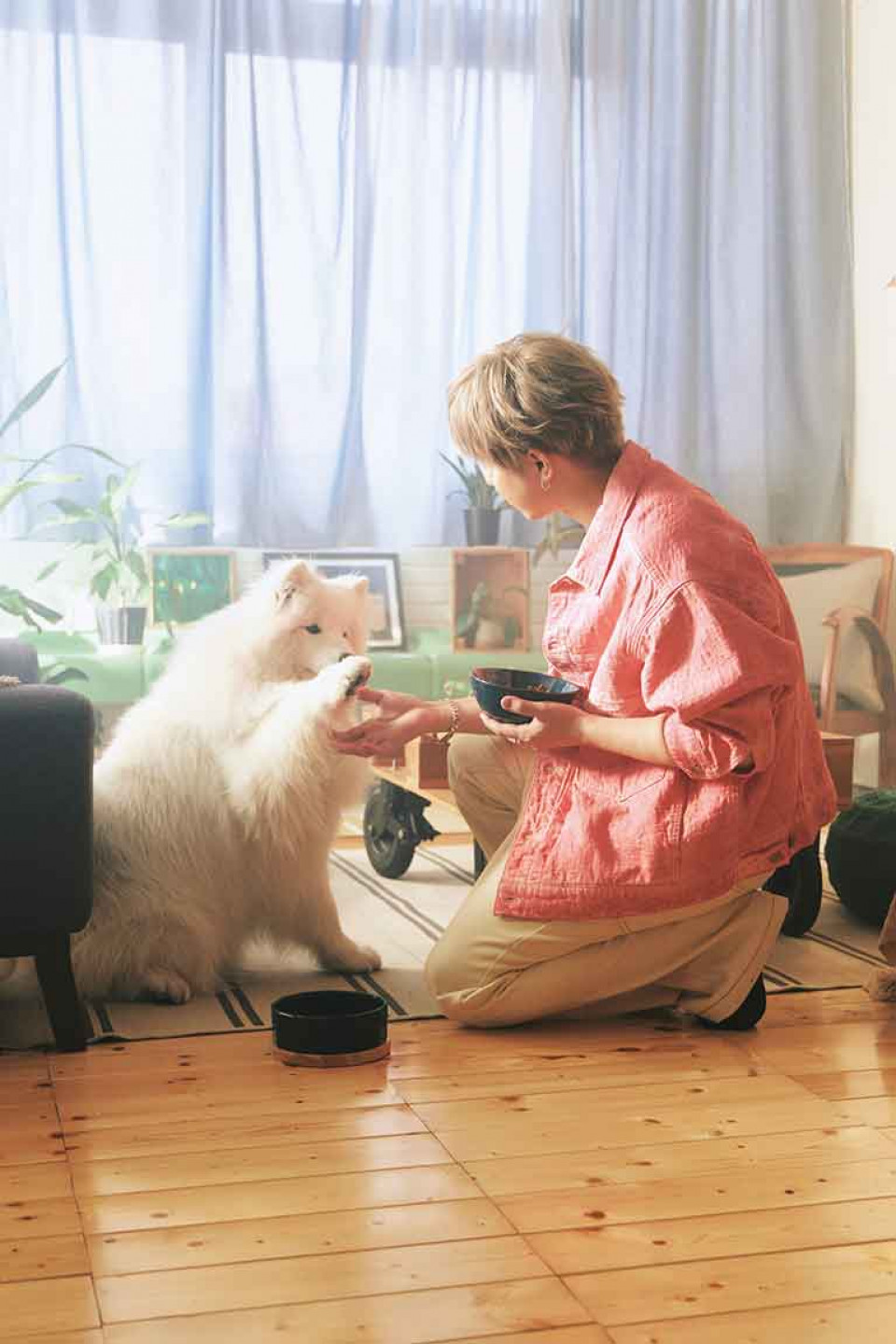 第一首單曲與慵懶貓合拍MV-新單曲和可愛薩摩耶狗狗合作 GJ樂翻天大呼療癒