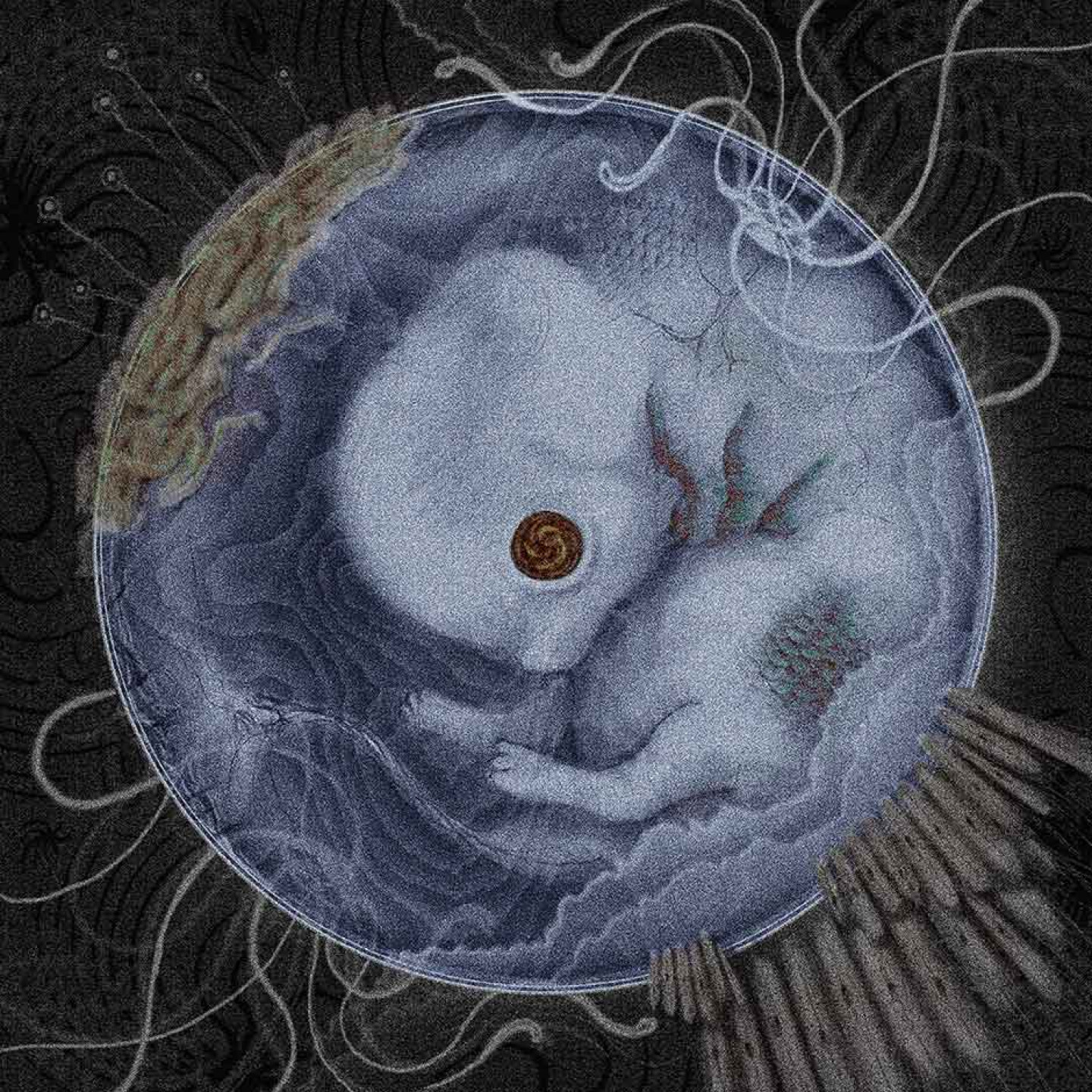 烏流oo-Lâu_專輯封面