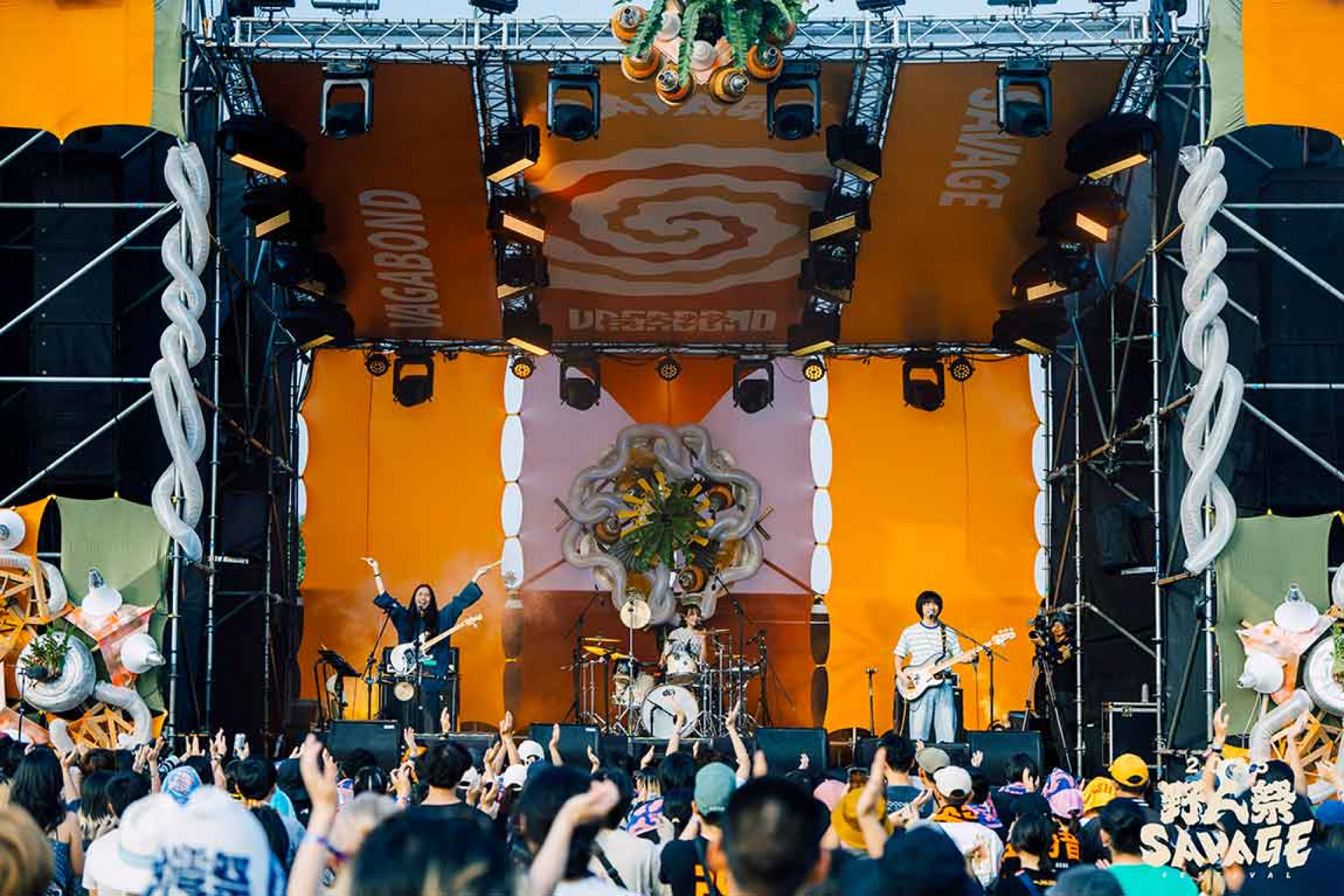 百合花 Lilium-(2)