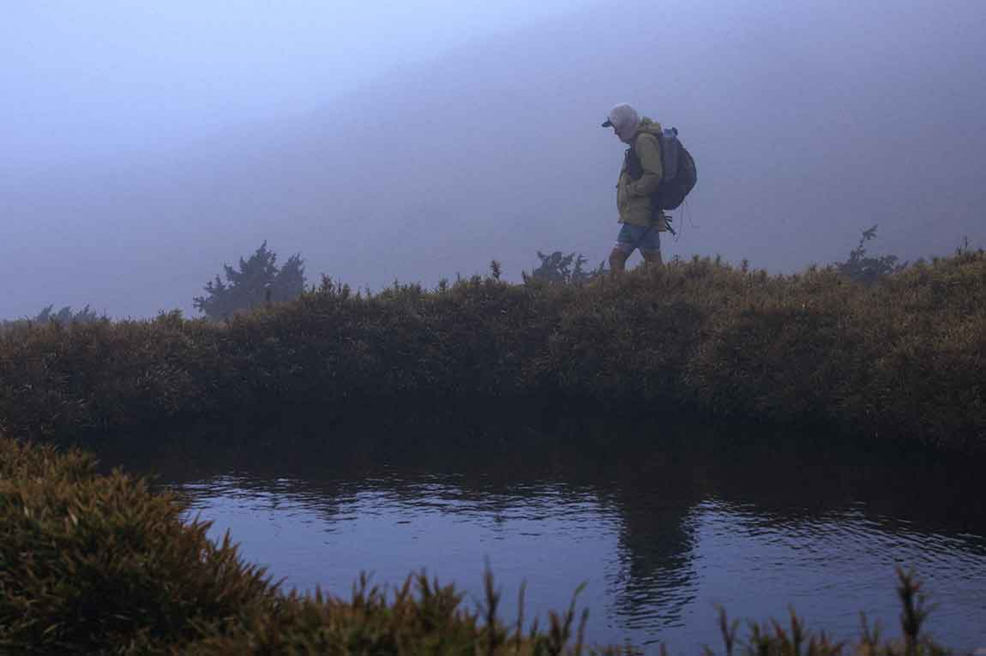 走進孤獨山林,寫下一首思念與告別的生命之歌