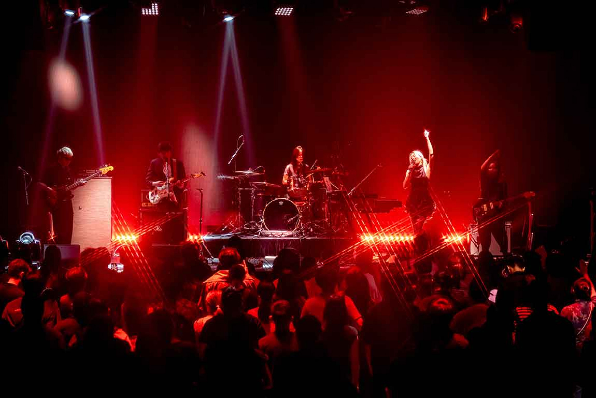 photo  credit_ @moolai_with_noise