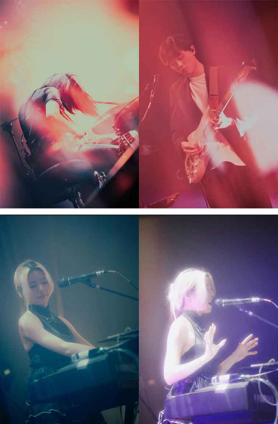 photo   credit _ @moolai_with_noise