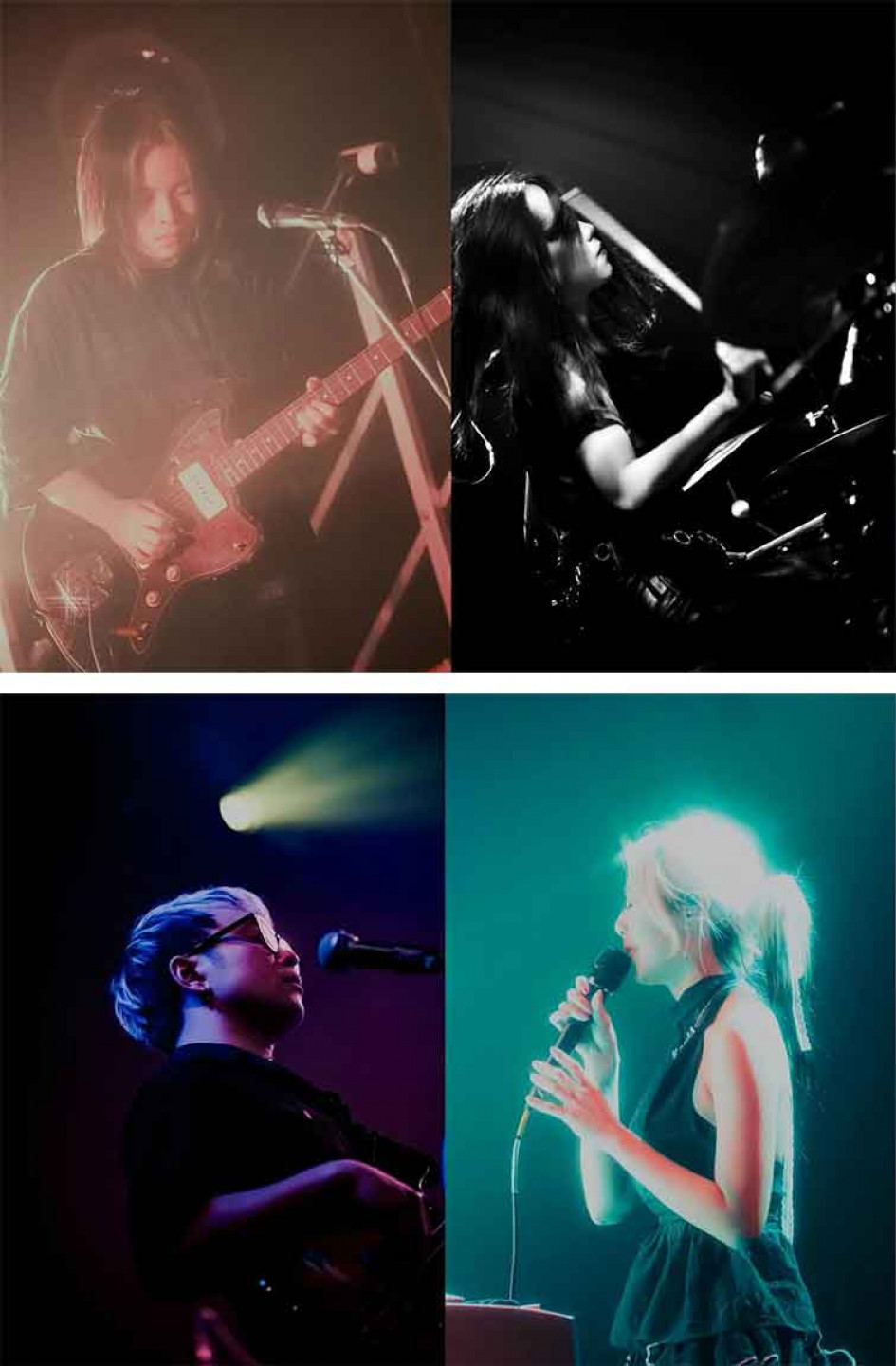 photo  credit _ @moolai_with_noise