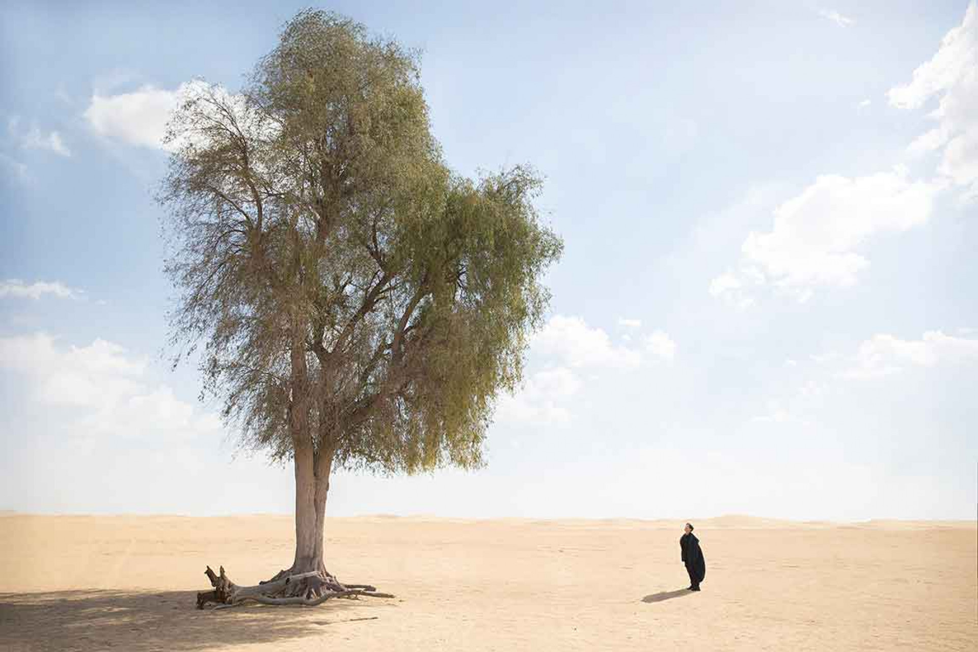 情歌王子踩點沙漠 張信哲讚「會成杜拜新景點」