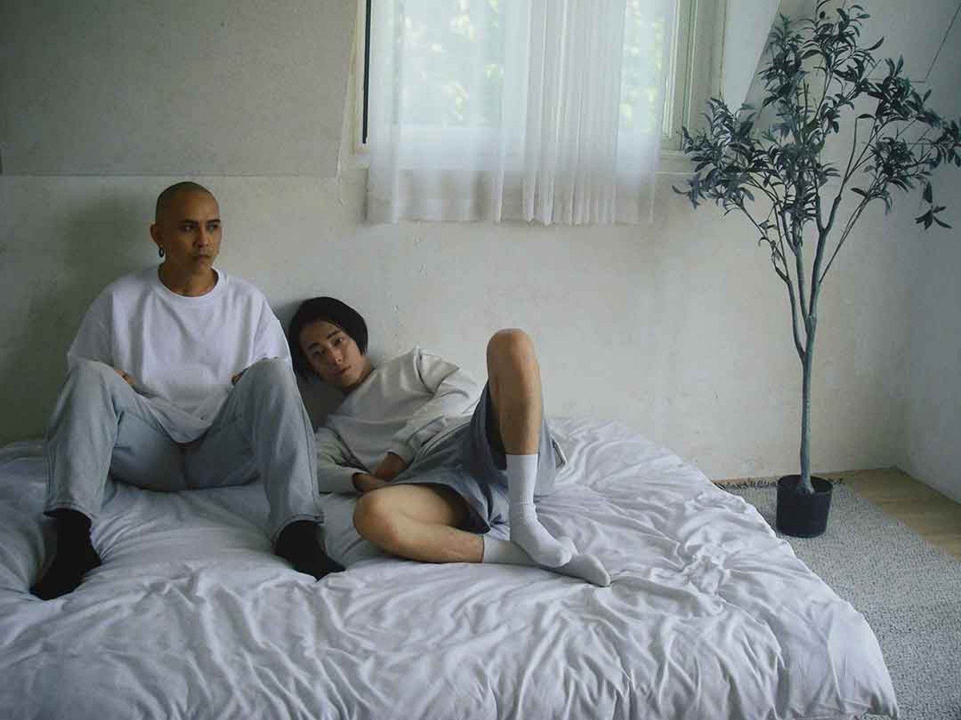 由主唱里鳳和吉他手阿愷組成的倒車入庫成軍於 2013 年,2017 年登上海洋音樂祭舞台,他們在新專輯的〈夢想是套路〉一曲中也回顧了當時的情景。