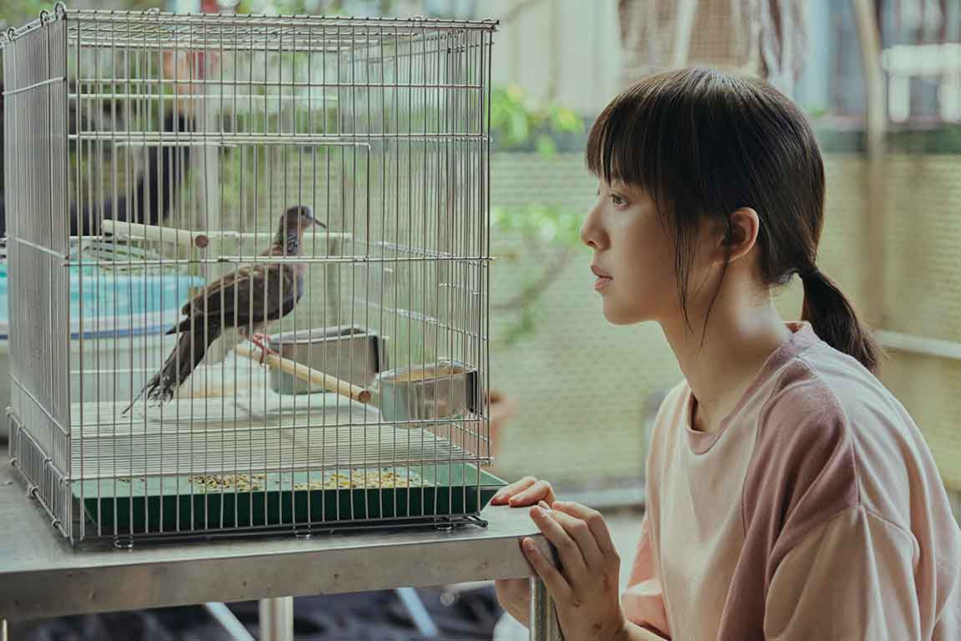 金馬影后鍾雪瑩與動物演員斑鳩有精彩對手戲。(相信音樂提供)