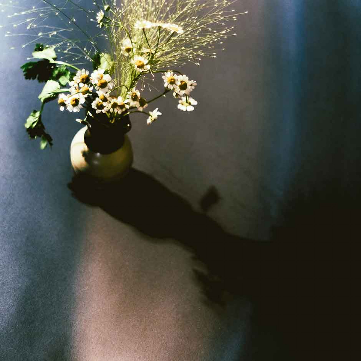 〈暮春 Bless you〉 單曲封面照