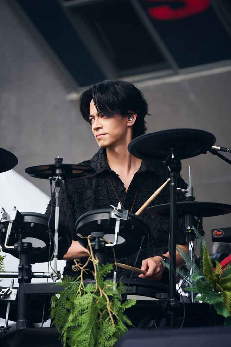 生命樹鼓手青春