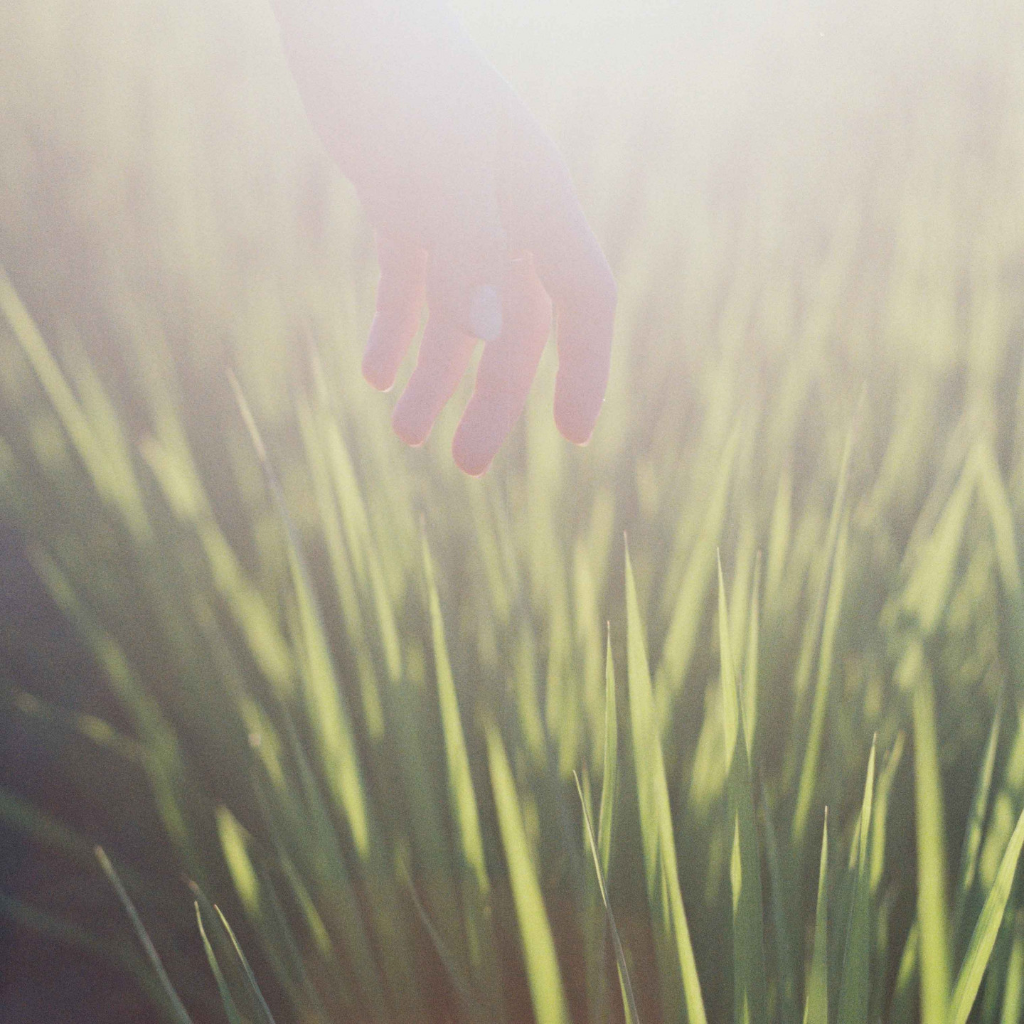 〈何者〉單曲封面