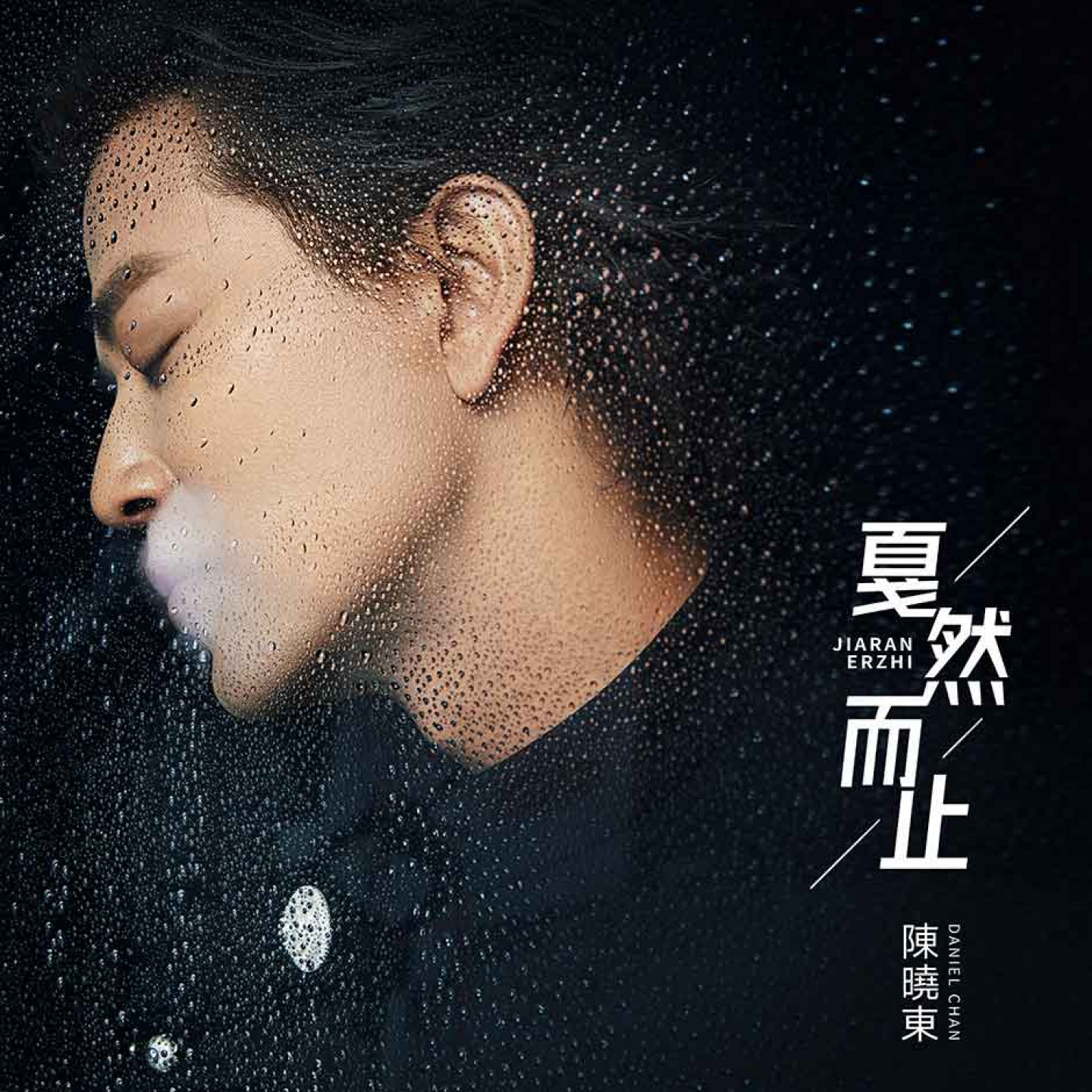 陳曉東《戛然而止》封面