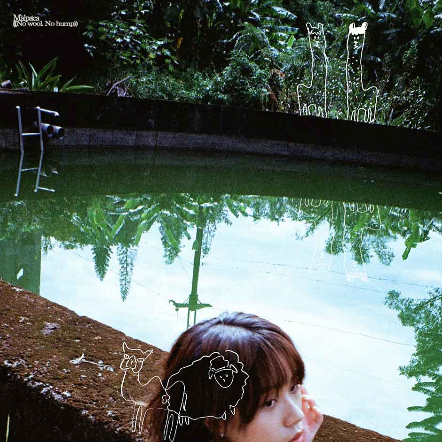 羊駝小姐((No Wool. No Hump))專輯封面