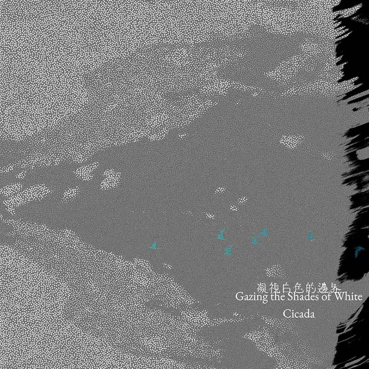 《凝視白色的邊界》將於2025年10月30日數位搶先發行,邀請聽者循冰而-行,聆聽這片白色大地。--(圖/風潮音樂-提供)