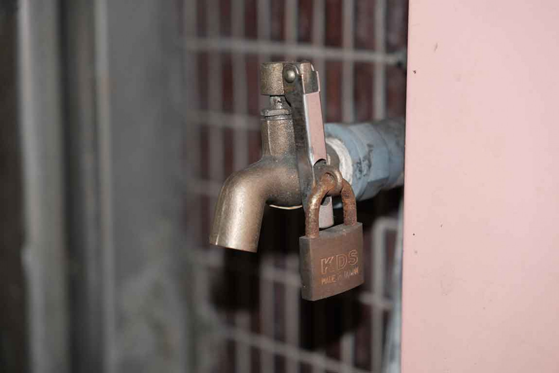 貝斯手達達攝影圖