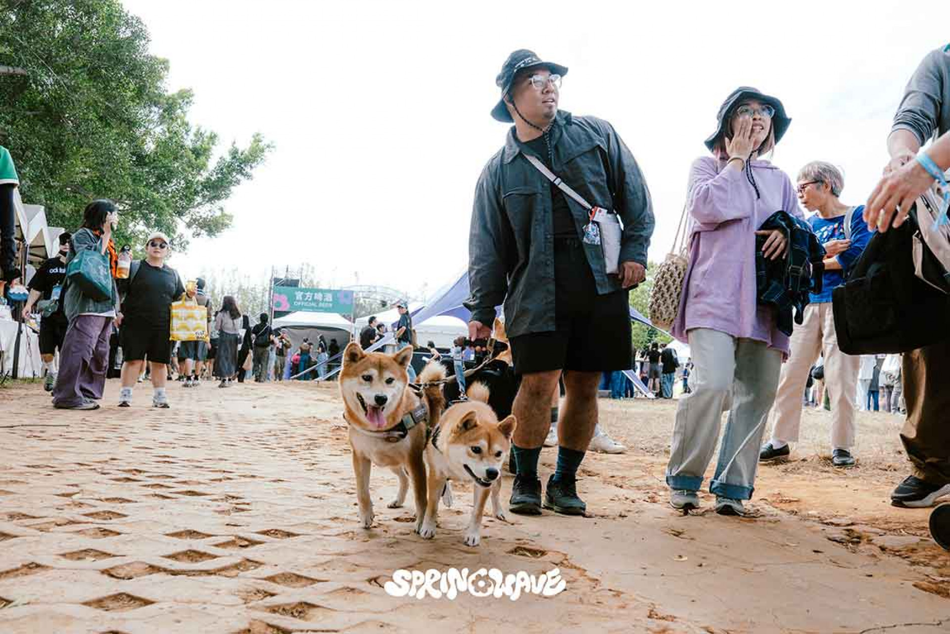 春浪音樂節_毛小孩