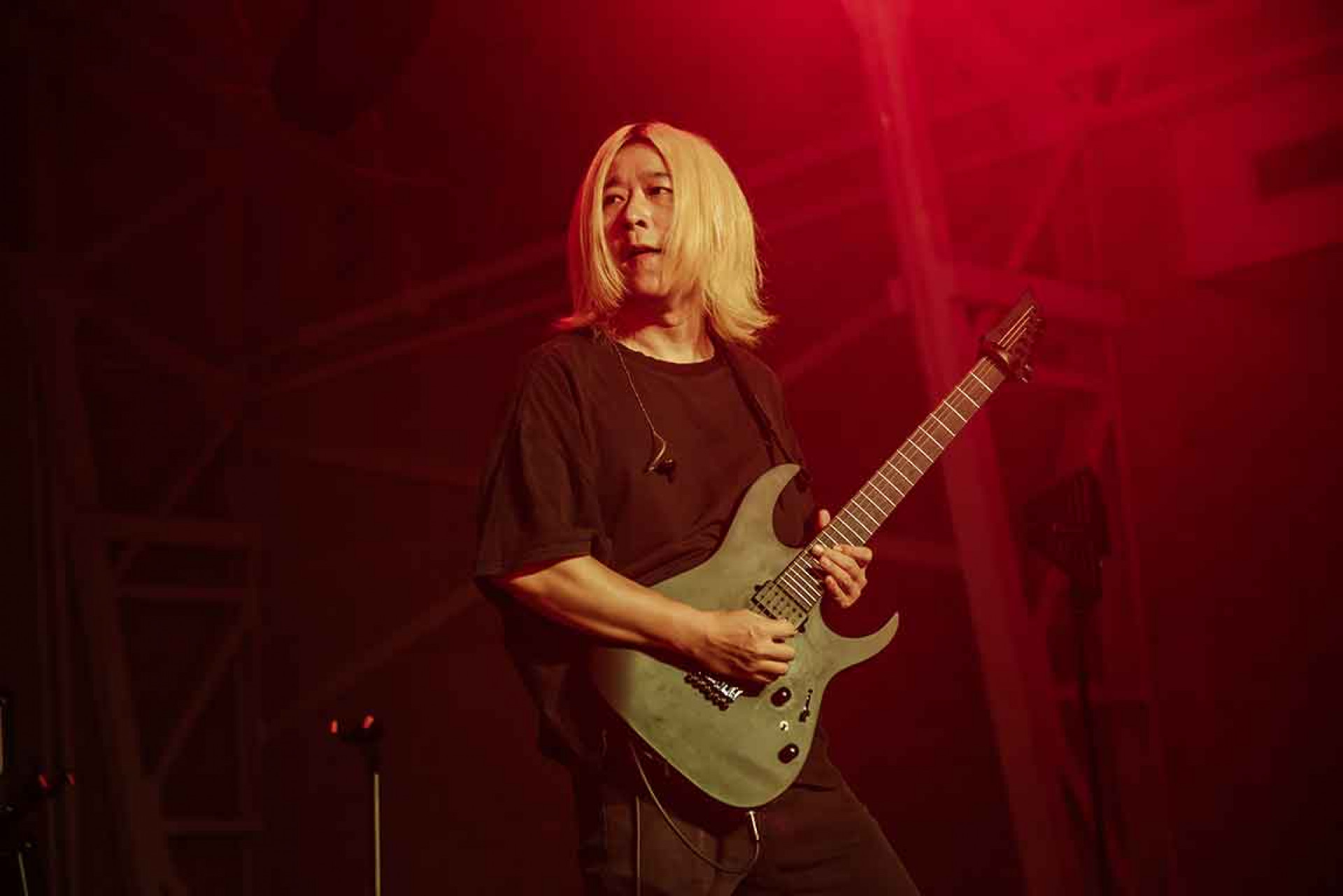 固定客吉他手蚊子