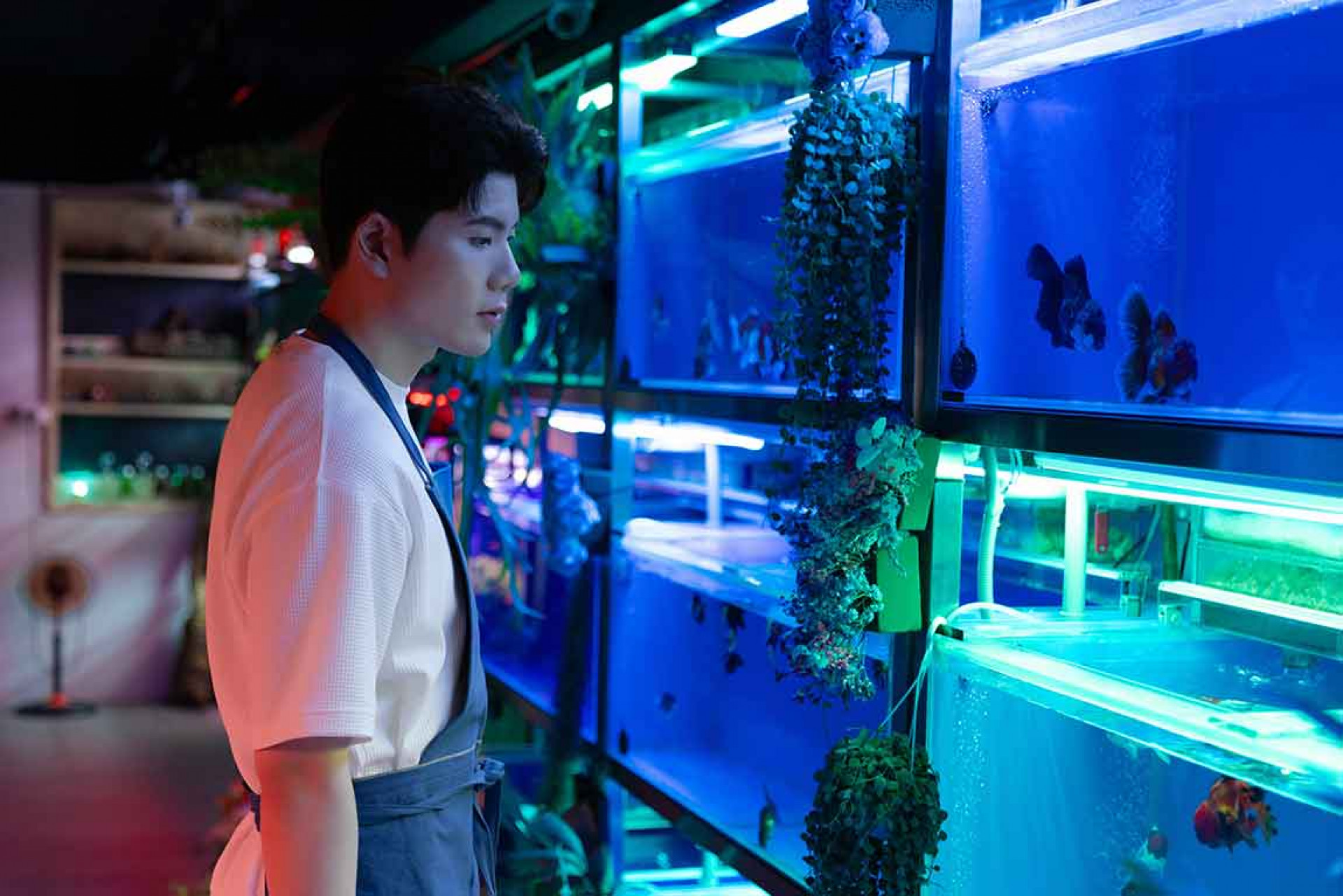 張鶴曦化身水族店員守護舊愛，打造浪漫故事！