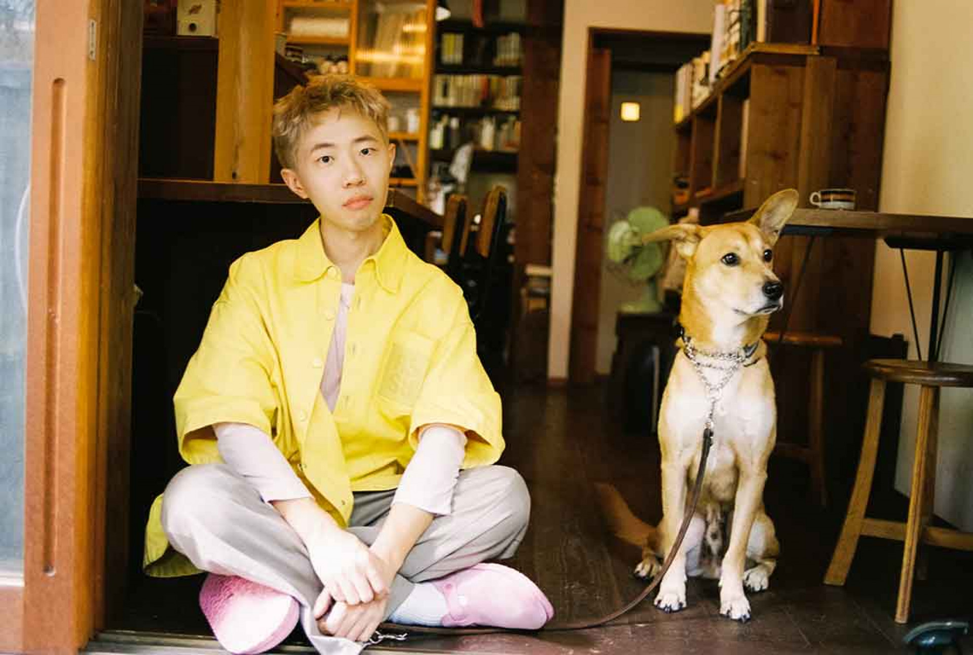 店裡一隻怕生的小狗，在老闆指導下成功收服