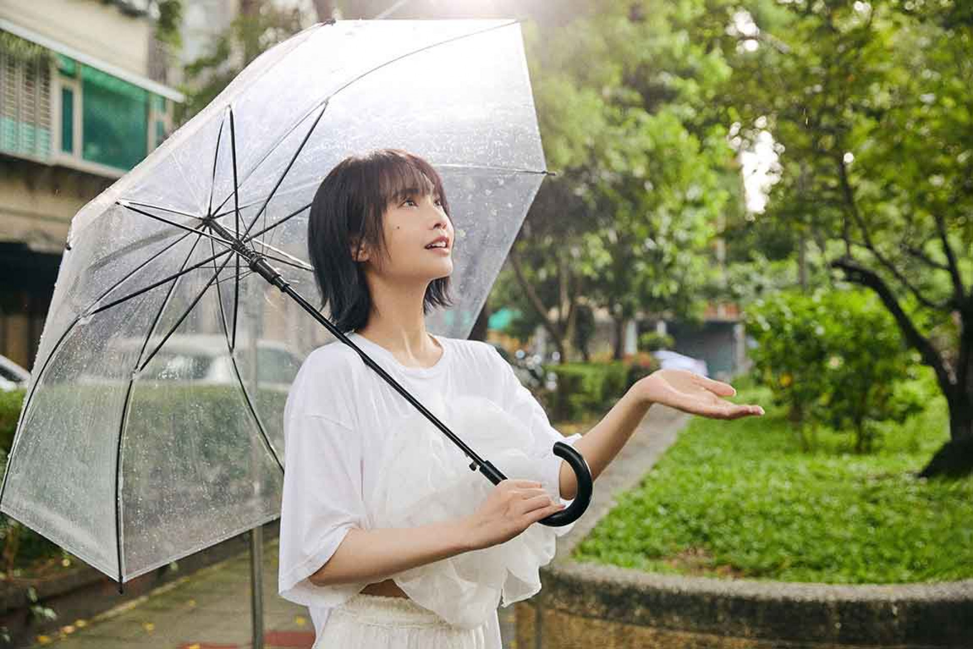 〈坐上慢車吹自由的風〉MV