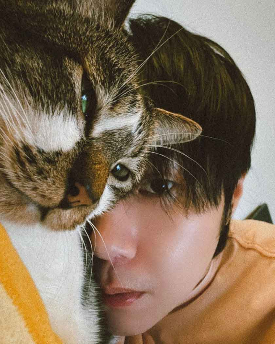 黃則翔被浪貓阿派「一巴掌」打出鬥志，開啟男性台語歌新面貌