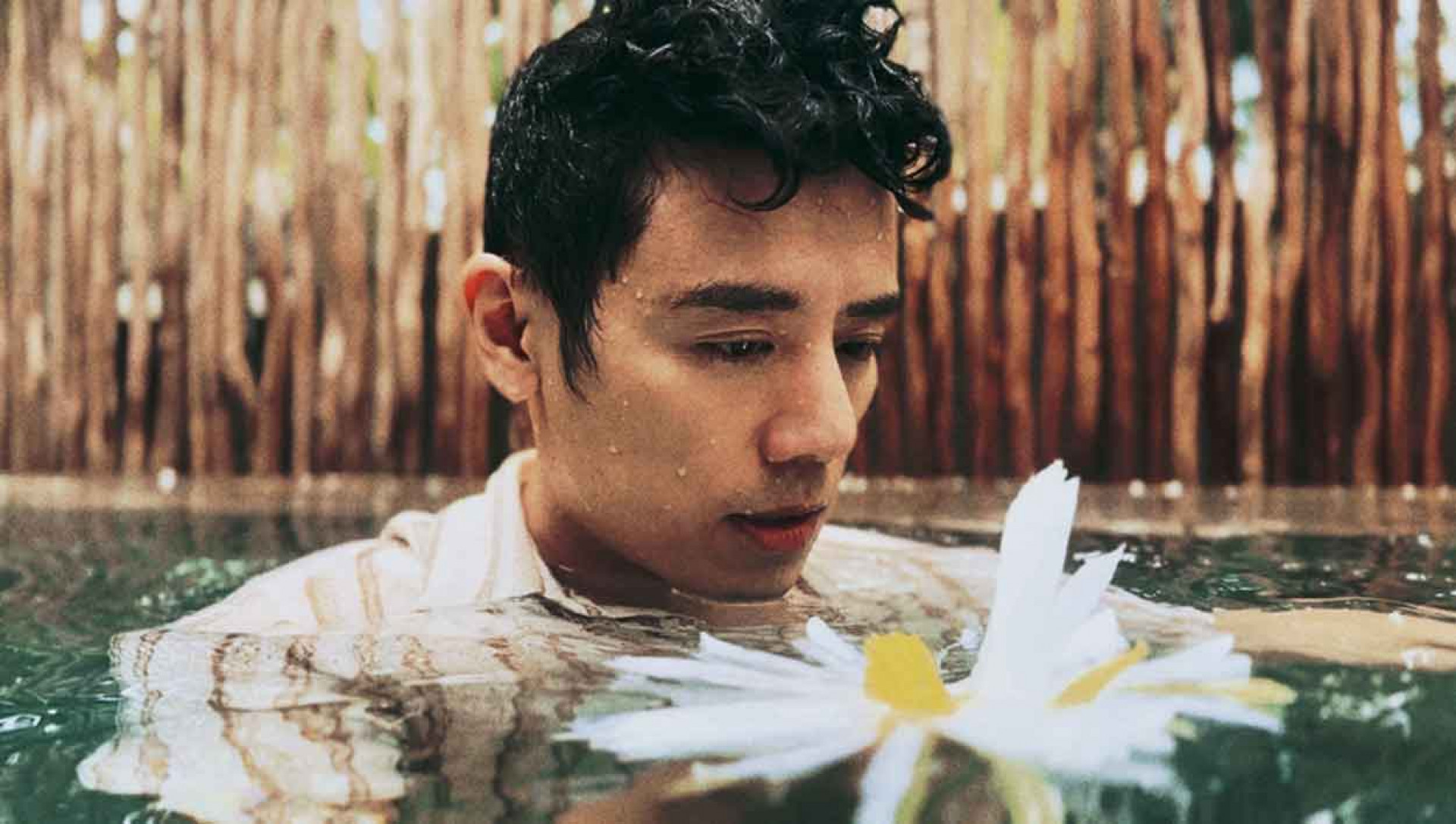 回歸樂壇,用「曇花」比喻演藝路