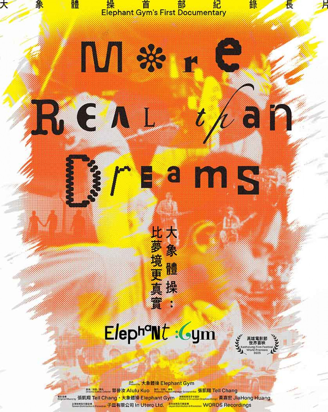 《大象體操：比夢境更真實》紀錄片海報