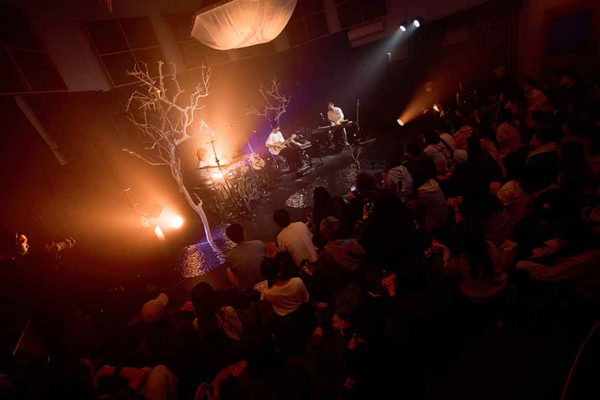 華語樂壇實力指標!生命樹 1_18 進軍 Billboard Live,限定版〈黑羊〉難度封神只為給歌迷最難忘的現場