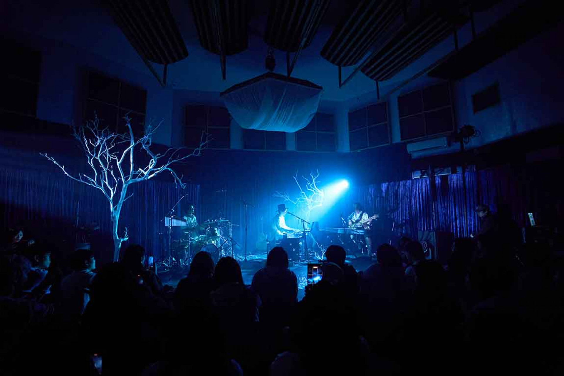 下一站，Billboard Live Taipei！生命樹首演新歌〈白色迴廊〉，藍色波光驚藏神級預告