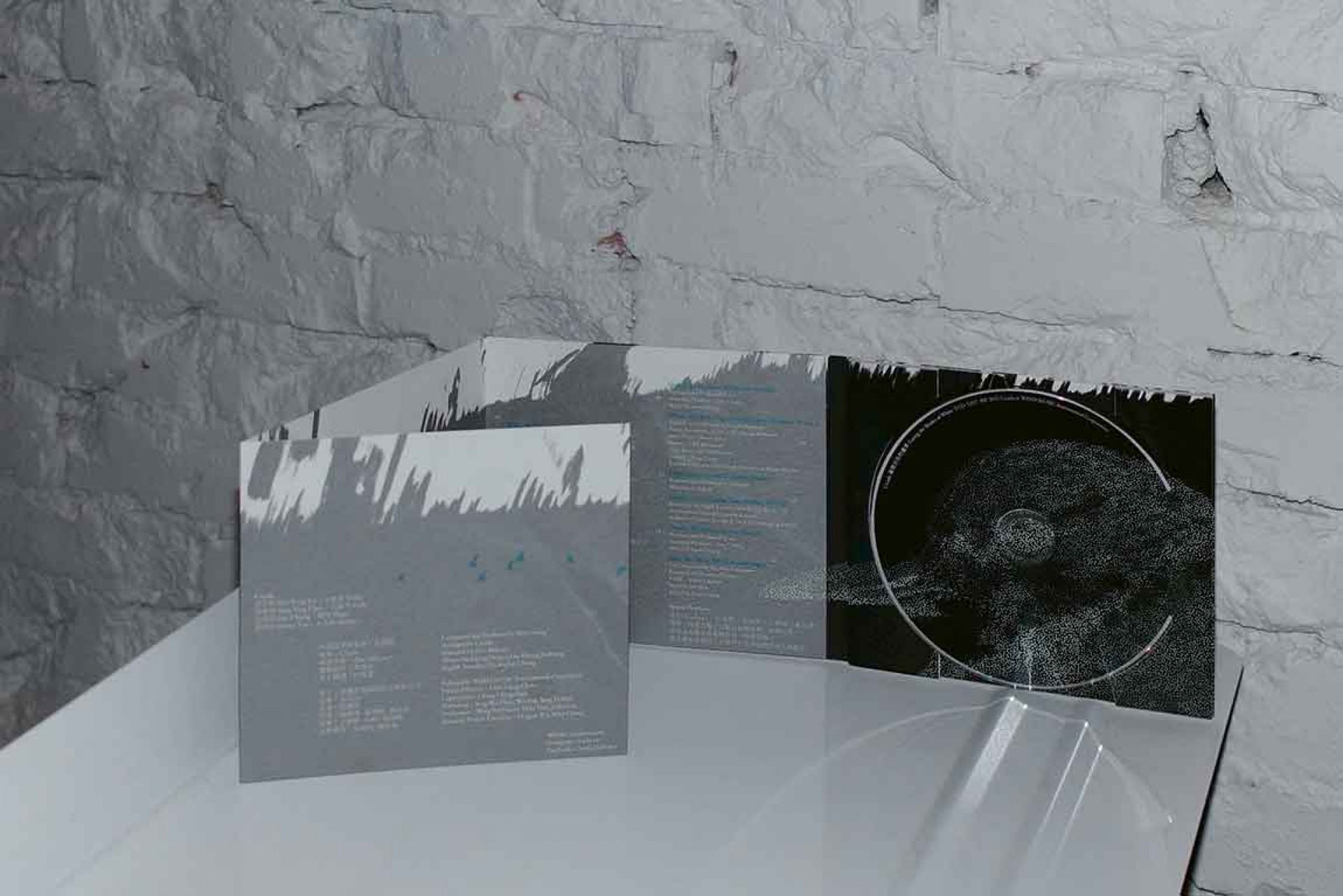 光碟圓標與封面飛翔的候鳥呼應,呈現出其中一隻鷸鳥的近景,化為凝視這一大片白色疆域的眼眸。