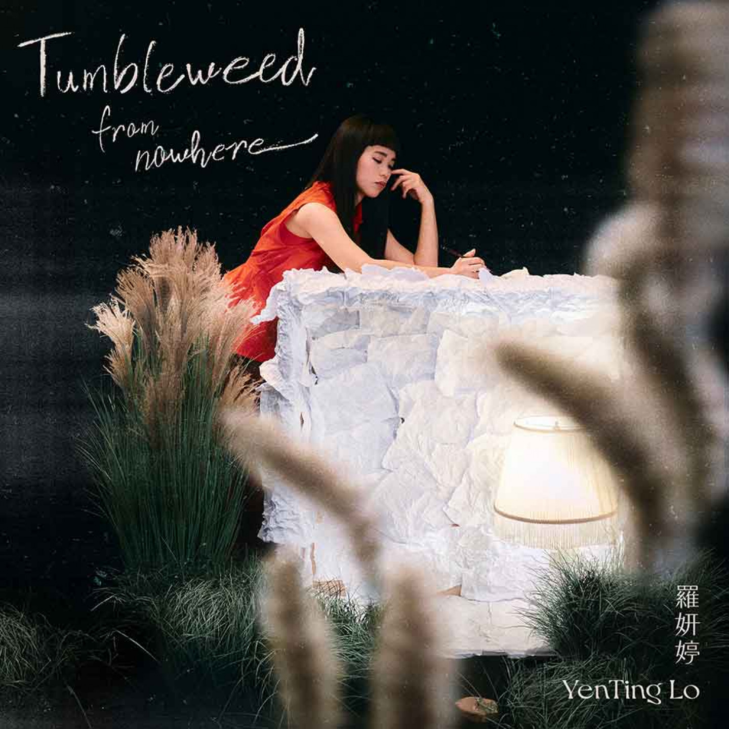 《Tumbleweed-from-nowhere》專輯封面