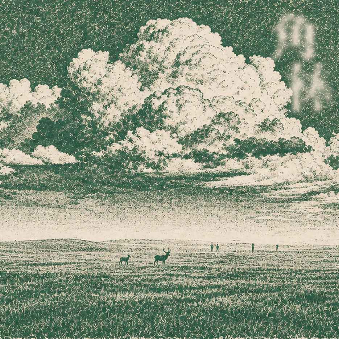 話梅鹿 第五張專輯《角林 The Antler Woods》封面