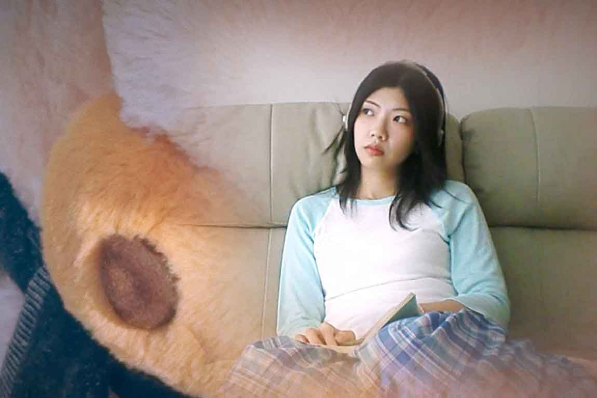〈Furry Tail〉MV片段