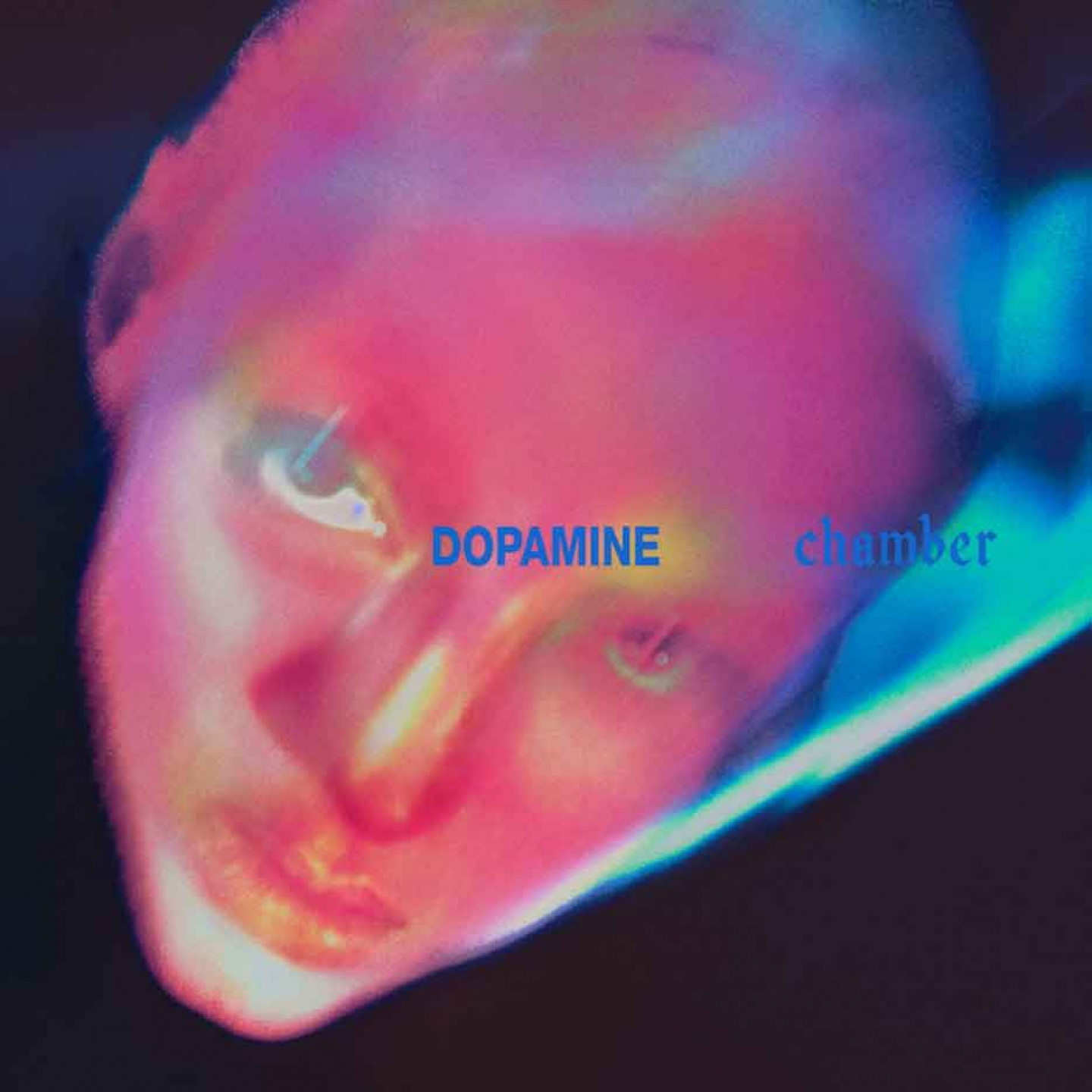 Fontaines D.C.《Dopamine Chamber》專輯封面