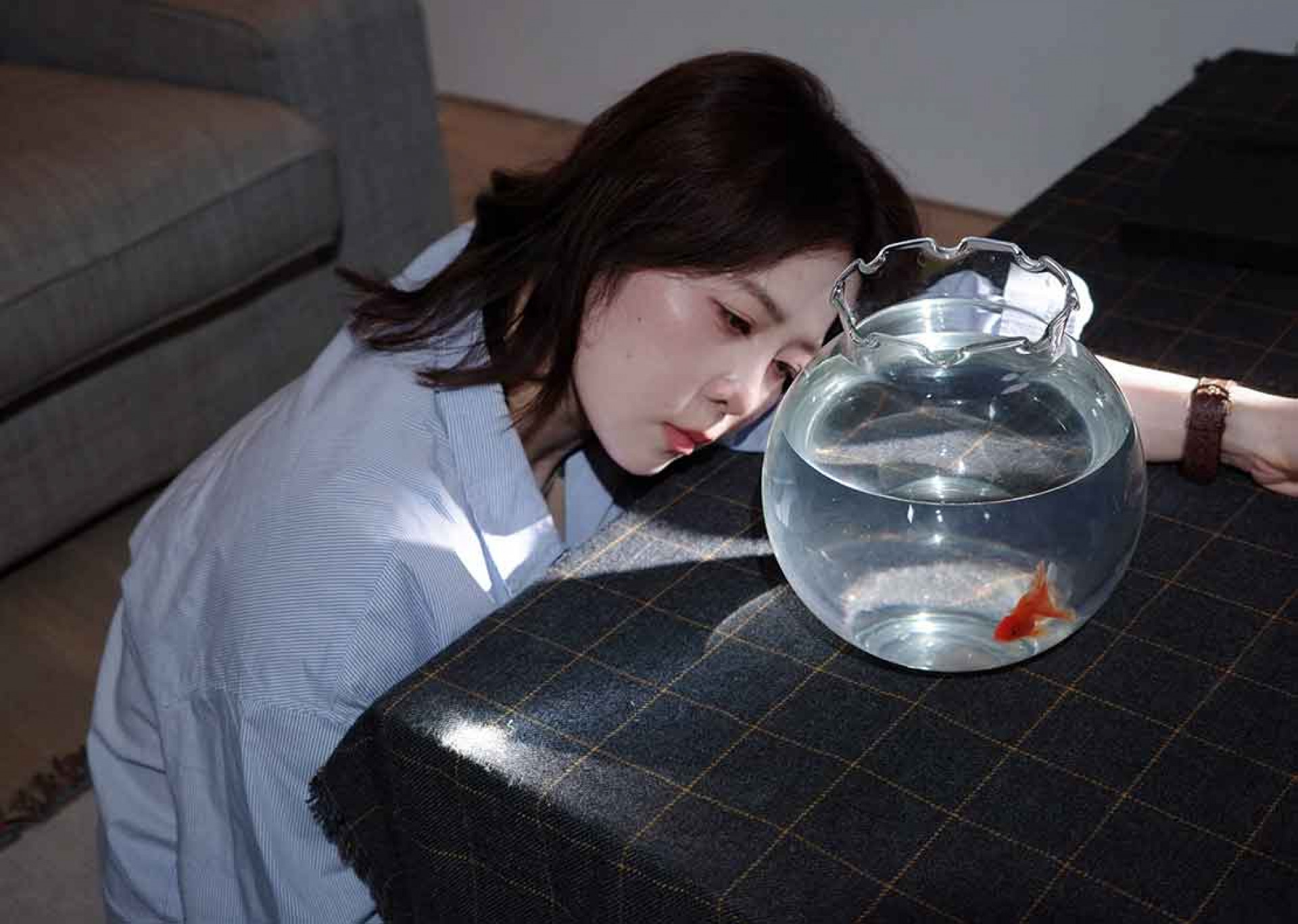 MV視覺充滿了超現實的投射